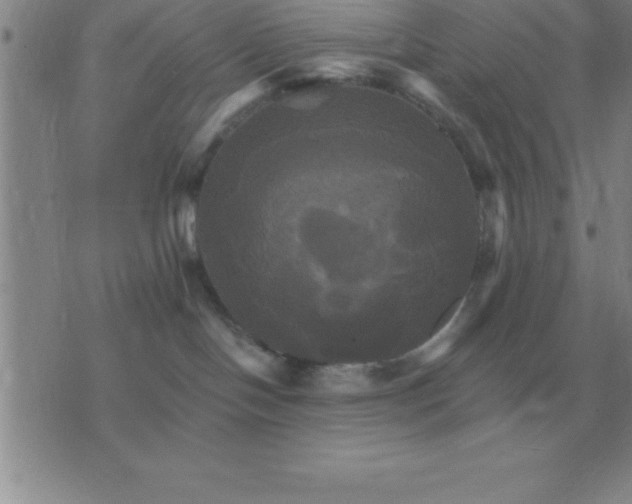 X0000075860094200610061948