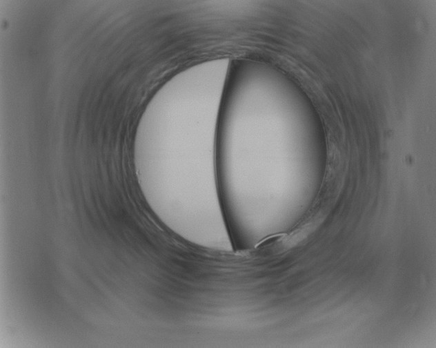 X0000075860096200610061948