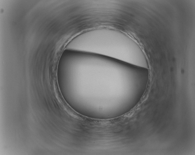 X0000075860097200610061947