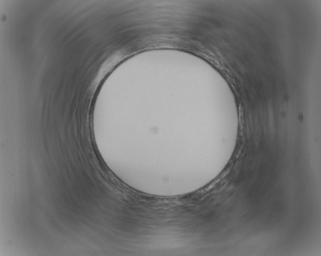 X0000075860099200610061947