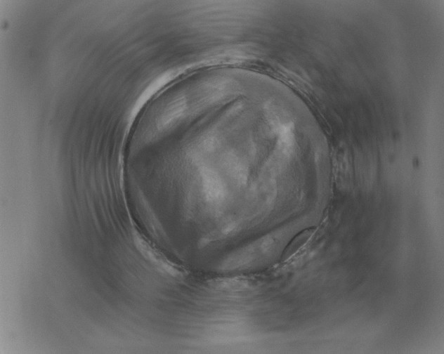 X0000075860100200610061947