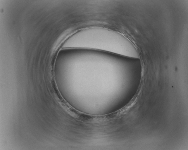 X0000075860101200610061947