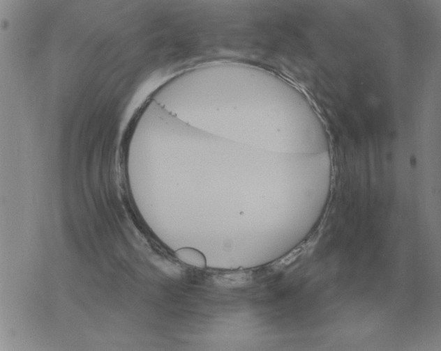 X0000075860102200610061947