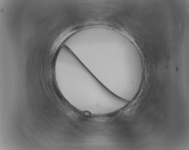 X0000075860103200610061947