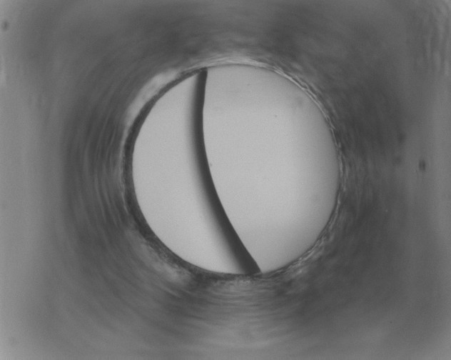 X0000075860104200610061947