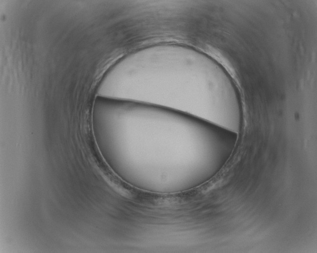 X0000075860105200610061947