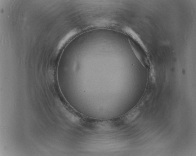 X0000075860106200610061947