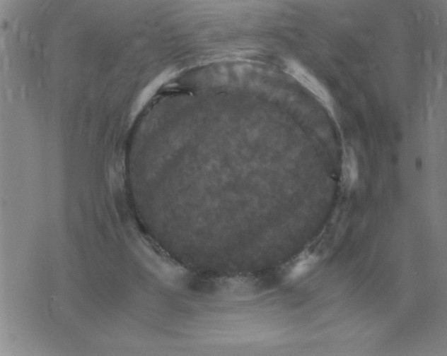 X0000075860107200610061947