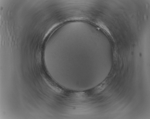 X0000075860108200610061947