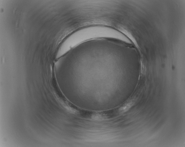 X0000075860109200610061947