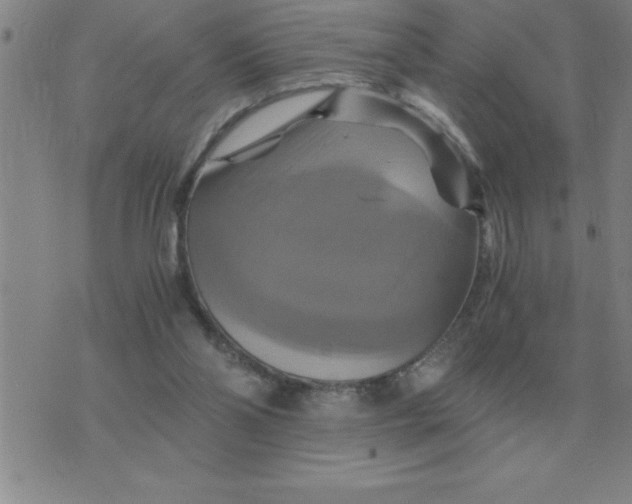 X0000075860110200610061947