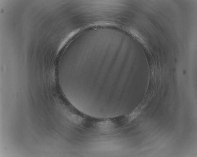 X0000075860112200610061947