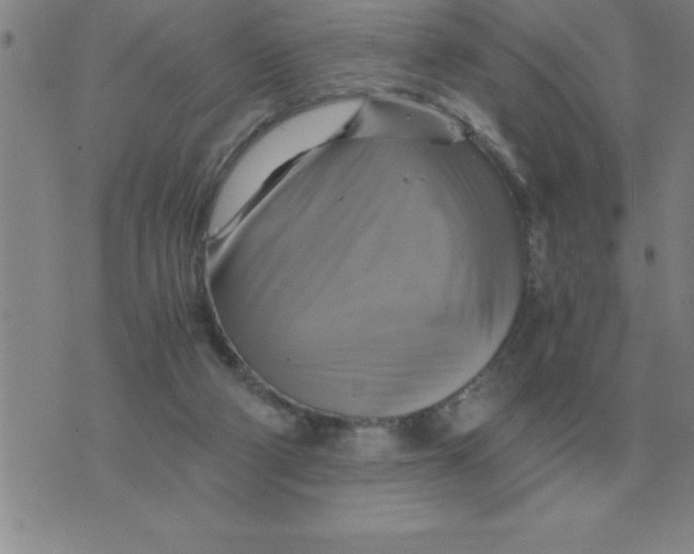 X0000075860114200610061947