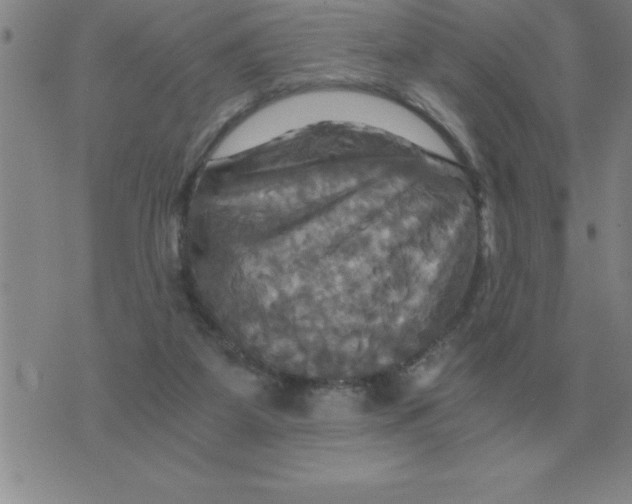 X0000075860115200610061947