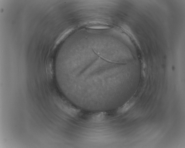 X0000075860116200610061947