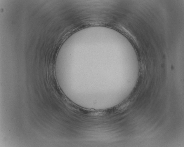 X0000075860117200610061947