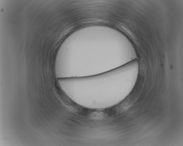 X0000075860119200610061947