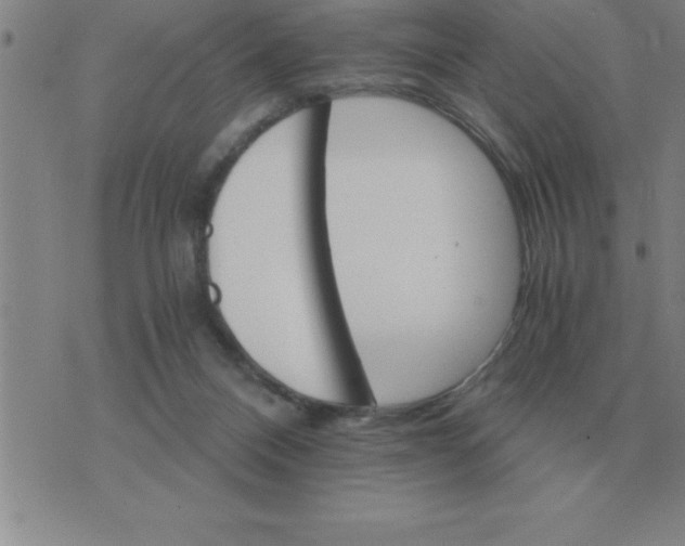 X0000075860120200610061947