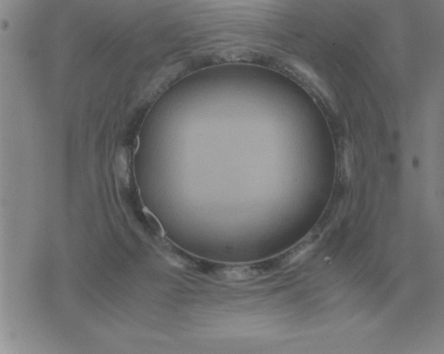 X0000075860121200610061947