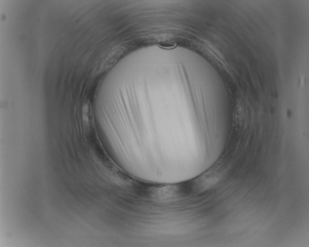 X0000075860122200610061947