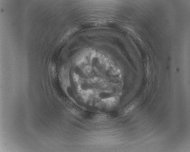 X0000075860123200610061947