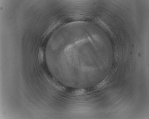 X0000075860124200610061947