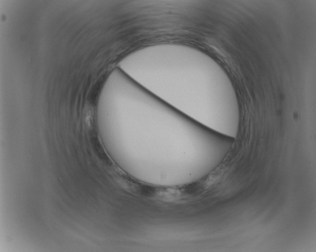 X0000075860125200610061947