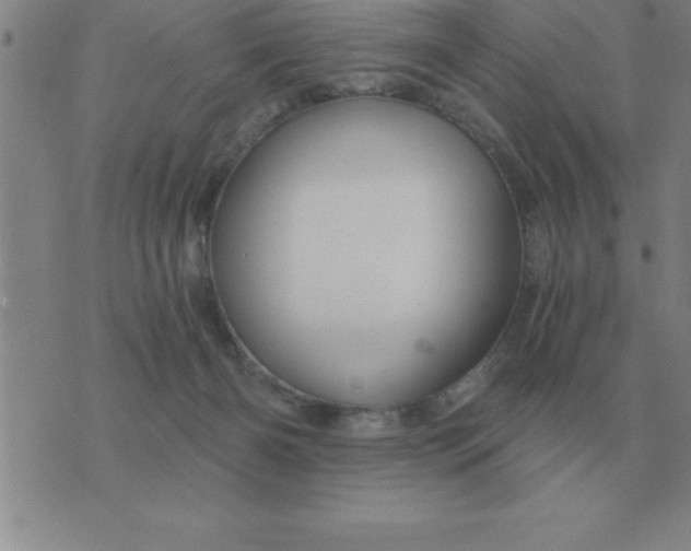 X0000075860126200610061947