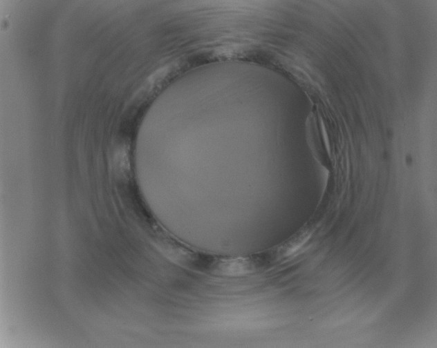 X0000075860127200610061947