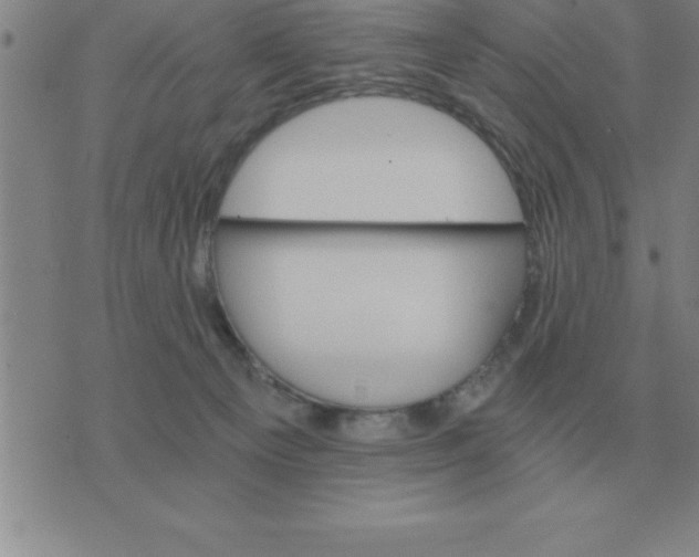 X0000075860129200610061947