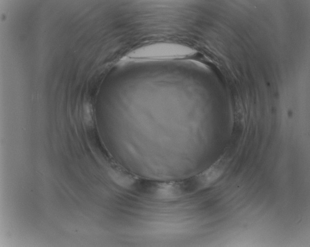 X0000075860130200610061947