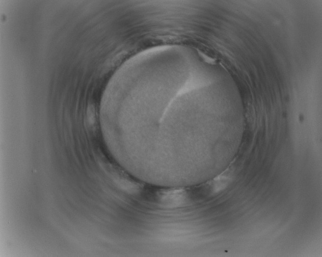 X0000075860132200610061946