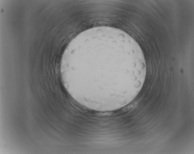 X0000075860135200610061946