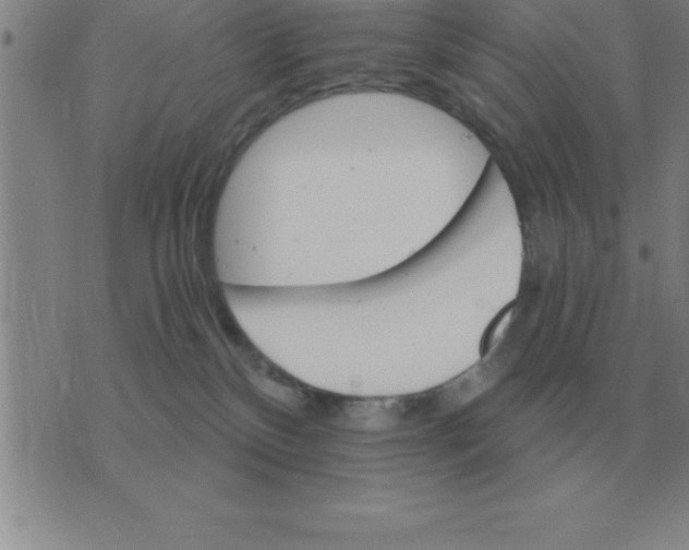 X0000075860136200610061946