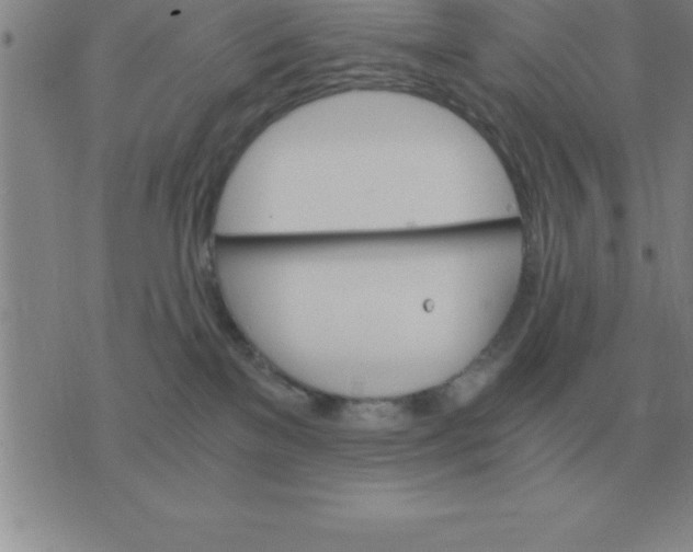 X0000075860137200610061946