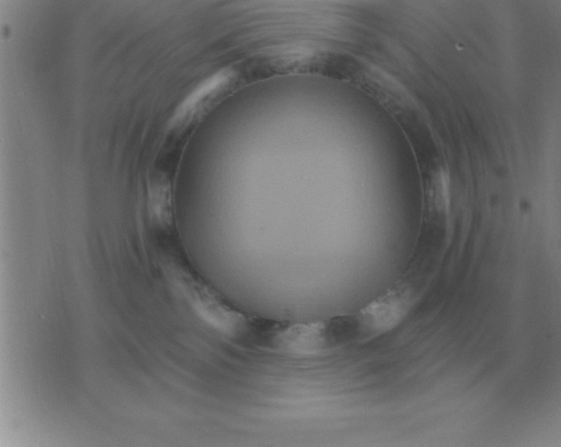 X0000075860138200610061946