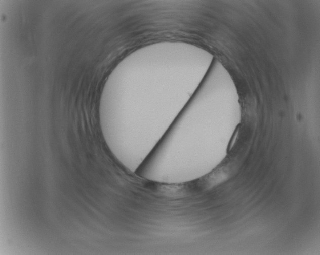 X0000075860139200610061946