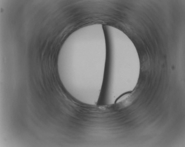 X0000075860140200610061946