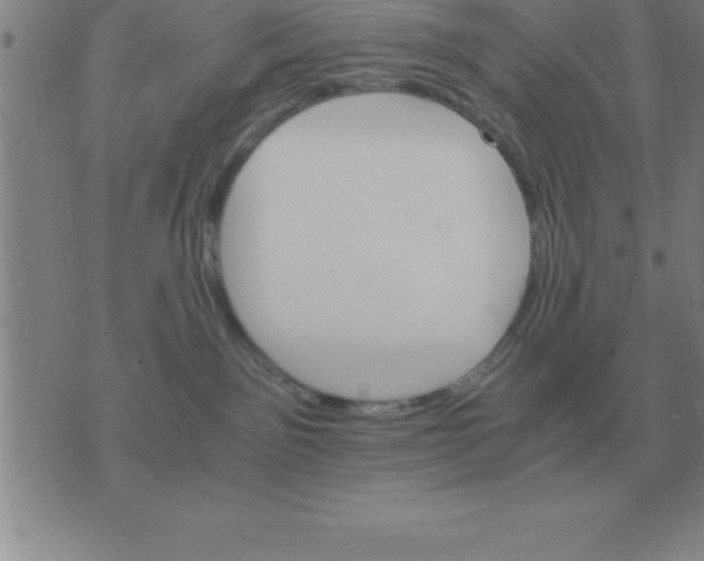 X0000075860141200610061946