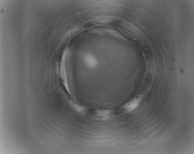 X0000075860143200610061946