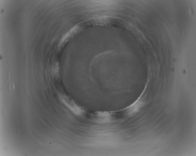 X0000075860144200610061946