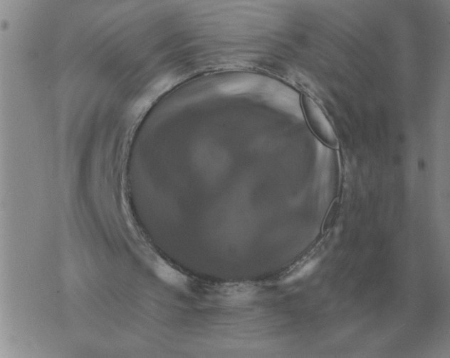 X0000075860145200610061946