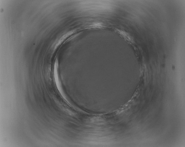 X0000075860146200610061946