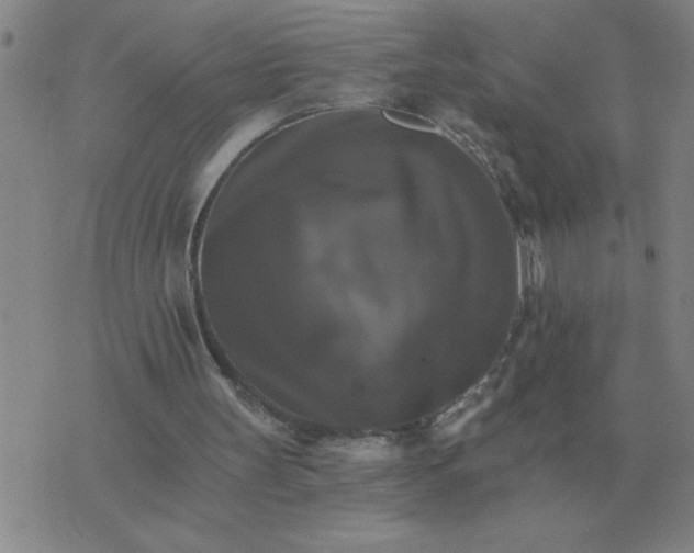 X0000075860147200610061946