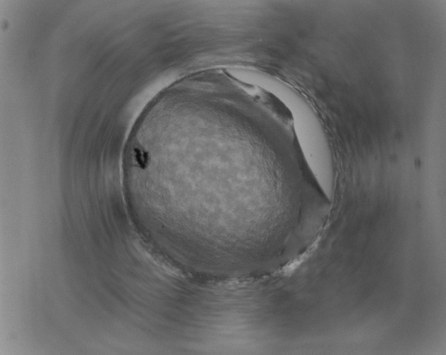 X0000075860148200610061946