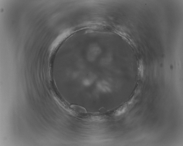 X0000075860149200610061946