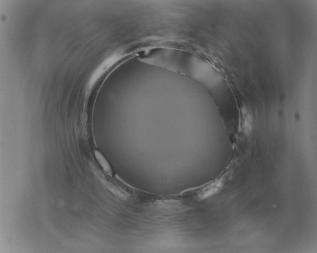 X0000075860150200610061946