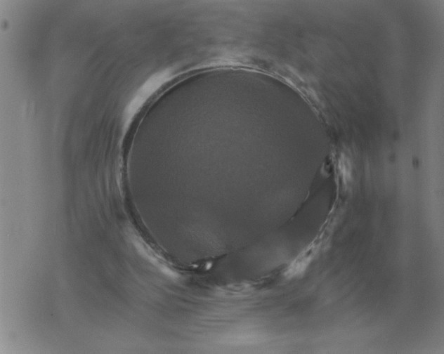 X0000075860152200610061946