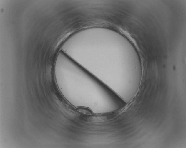 X0000075860154200610061946