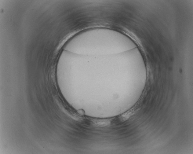 X0000075860155200610061946